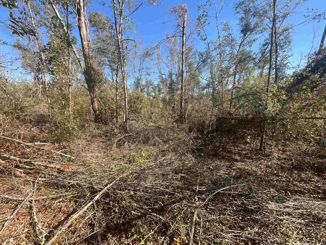 Vacant SE Blackhawk Drive, Lee, FL 32059