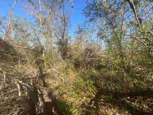 Vacant SE Blackhawk Drive, Lee, FL 32059