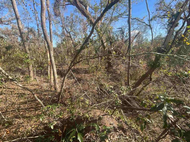 Vacant SE Blackhawk Drive, Lee, FL 32059