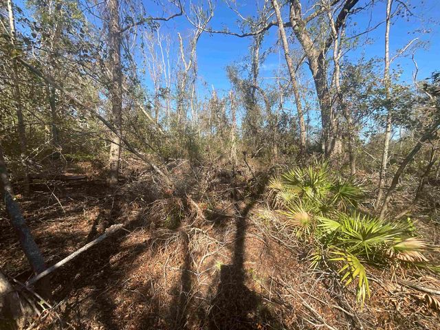 Vacant SE Blackhawk Drive, Lee, FL 32059