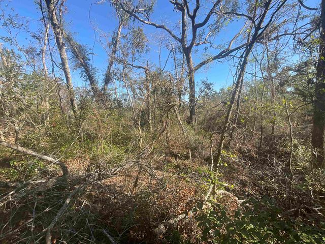 Vacant SE Blackhawk Drive, Lee, FL 32059