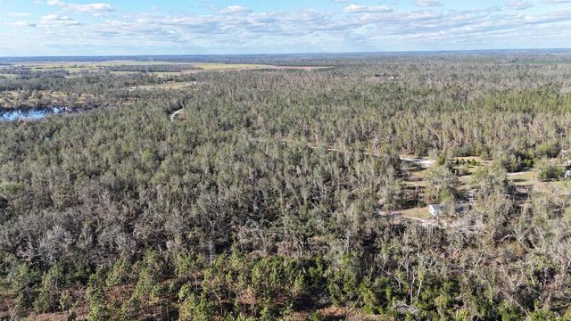 Vacant SE Blackhawk Drive, Lee, FL 32059