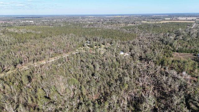 Vacant SE Blackhawk Drive, Lee, FL 32059