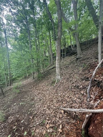 520 Palmer Rd, German Twp, PA 15410