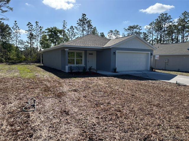 11127 N Trigger Terrace, Dunnellon, FL 34433