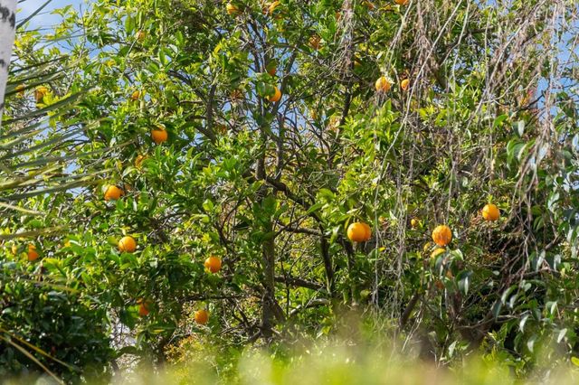 12135 Country Squire Way, Saratoga, CA 95070