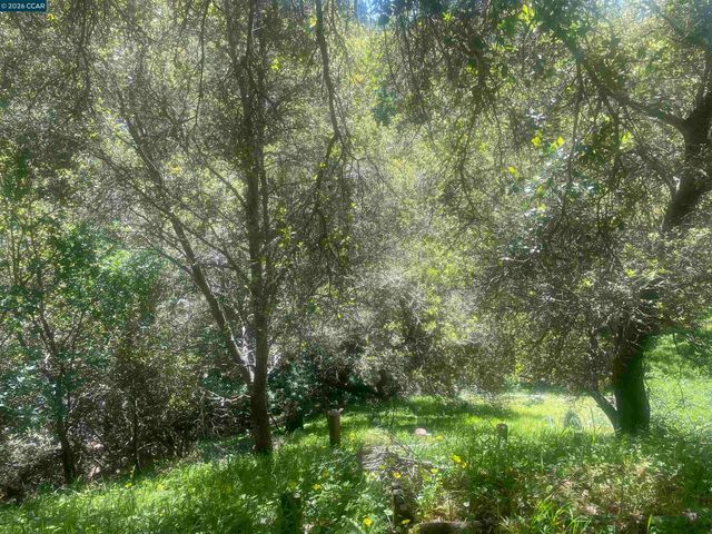 2 Charles Hill Cir, Orinda, CA 94563
