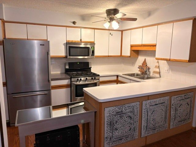 6701 N Milwaukee Avenue 303, Niles, IL 60714