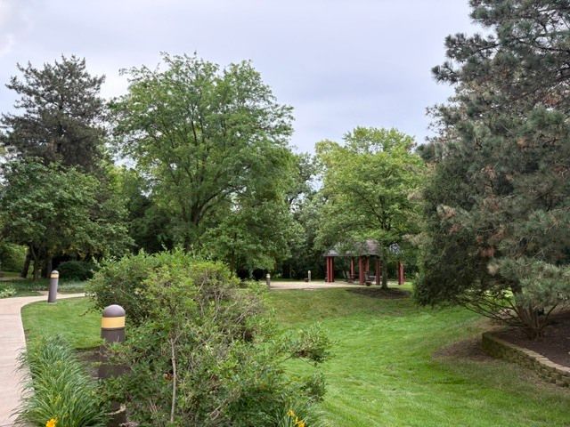 6701 N Milwaukee Avenue 303, Niles, IL 60714