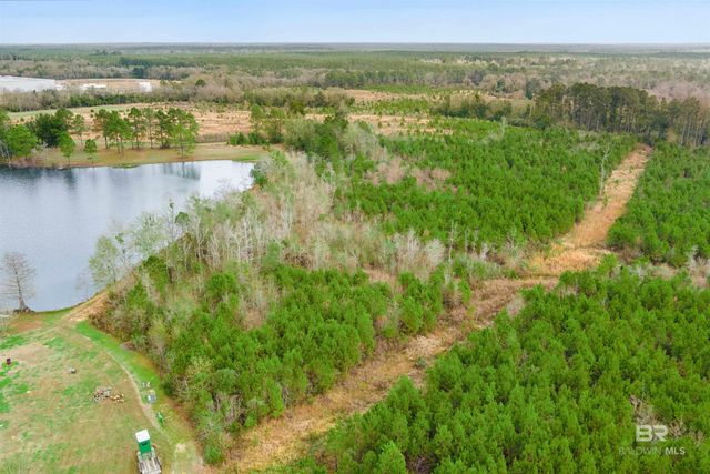 30380 County Road 49, Loxley, AL 36551