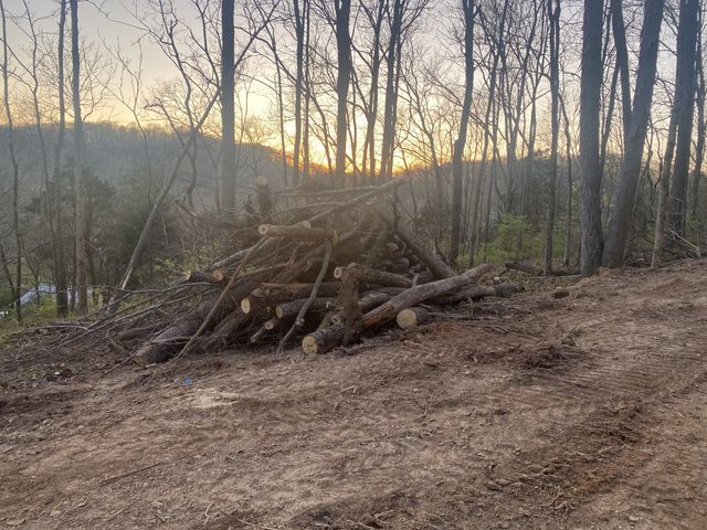 7449 River Road Pike, Nashville, TN 37209