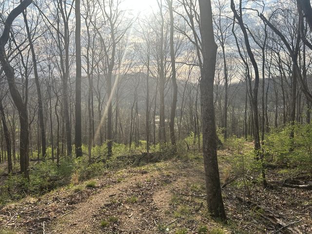 7449 River Road Pike, Nashville, TN 37209