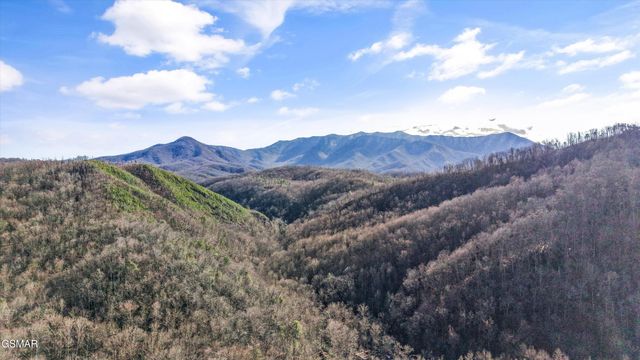 515 Woodland Drive, Gatlinburg, TN 37738