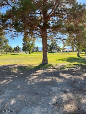 1741 Cypress Point Court, Pahrump, NV 89048