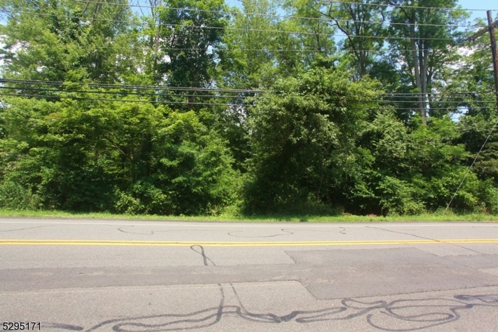 3 Wills Ave, Hopatcong Boro, NJ 07874