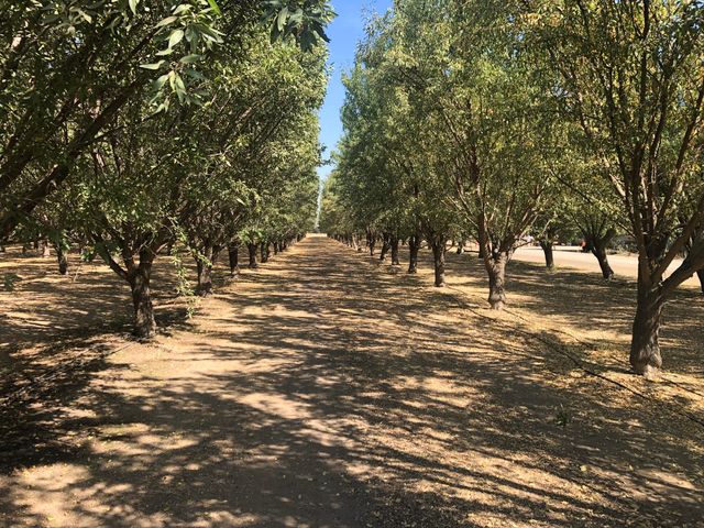 000 W Marinette Avenue, Exeter, CA 93221