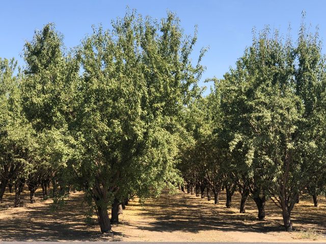 000 W Marinette Avenue, Exeter, CA 93221