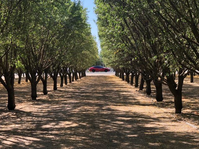 000 W Marinette Avenue, Exeter, CA 93221