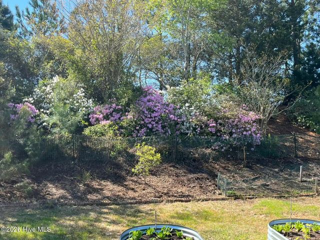 1143 Spring Glen Court, Leland, NC 28451