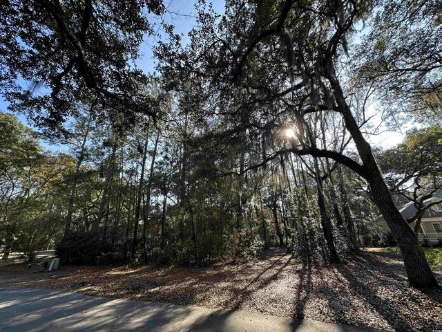 Lot 173 Sanderling Ave., Georgetown, SC 29440