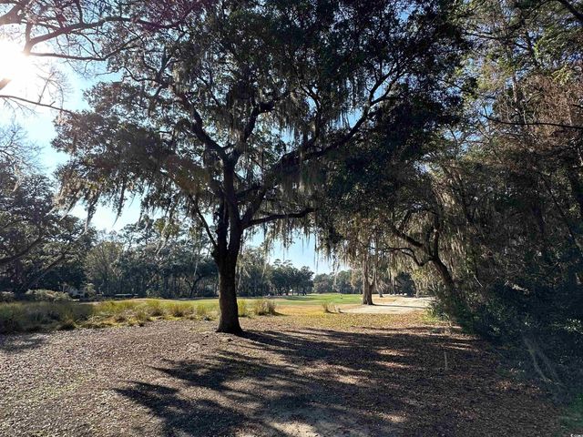 Lot 173 Sanderling Ave., Georgetown, SC 29440