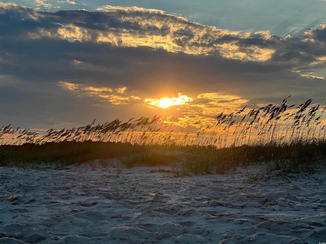 7293 Guinevere Circle, Myrtle Beach, SC 29588