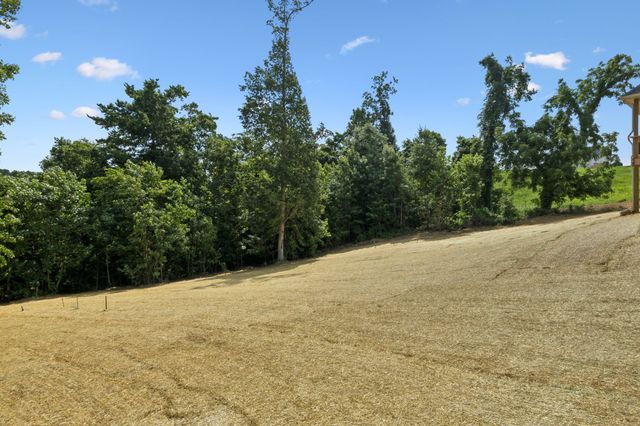 1075 Linder Ridge Drive, Woodlawn, TN 37191
