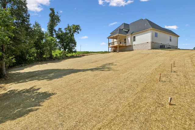 1075 Linder Ridge Drive, Woodlawn, TN 37191