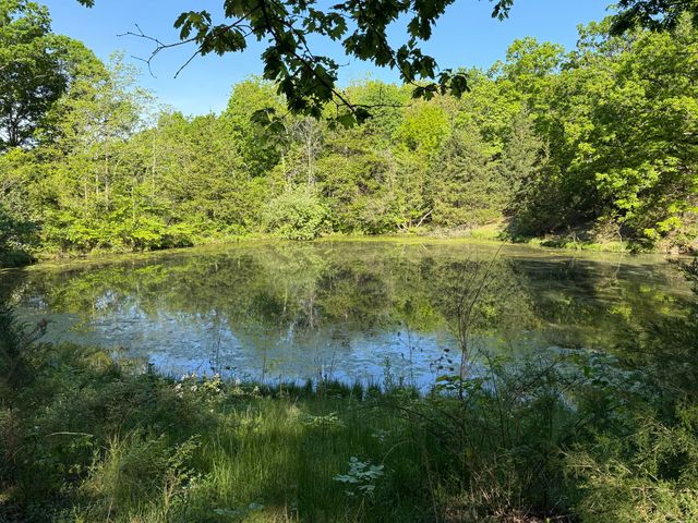 13080 County Road Ee, Cabool, MO 65689