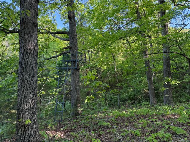 13080 County Road Ee, Cabool, MO 65689