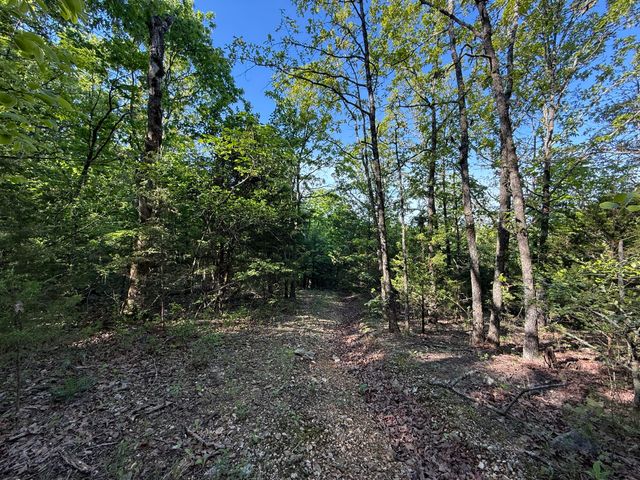 13080 County Road Ee, Cabool, MO 65689