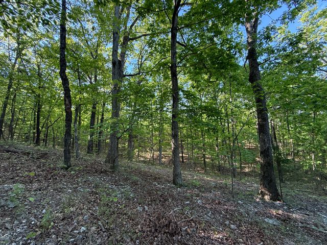 13080 County Road Ee, Cabool, MO 65689