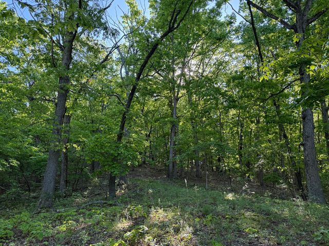 13080 County Road Ee, Cabool, MO 65689