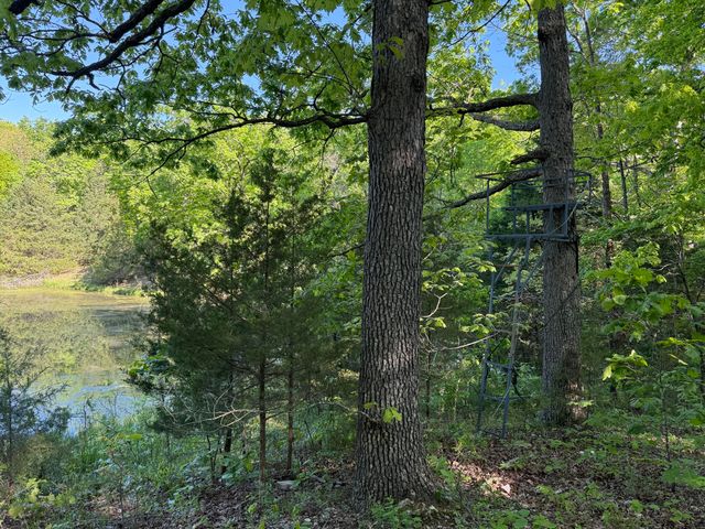 13080 County Road Ee, Cabool, MO 65689