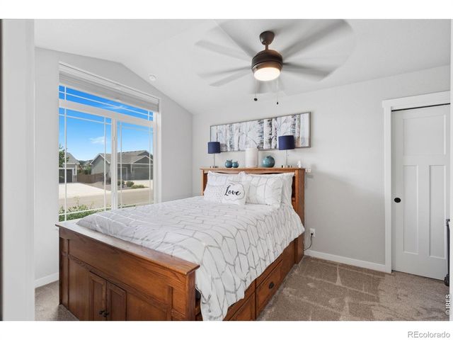 6902 Cattails Drive, Wellington, CO 80549