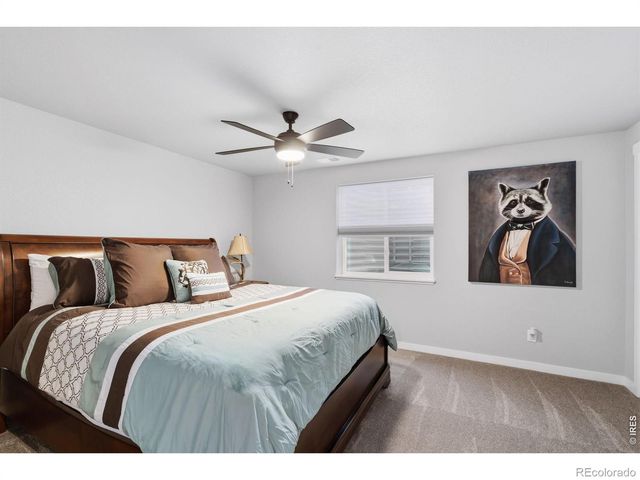 6902 Cattails Drive, Wellington, CO 80549