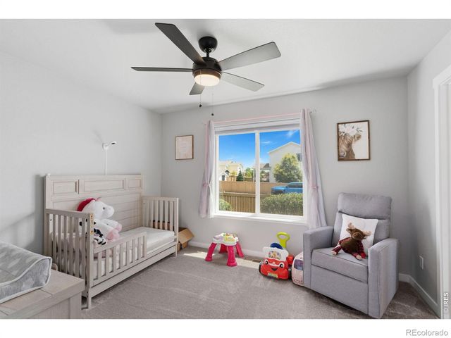 6902 Cattails Drive, Wellington, CO 80549