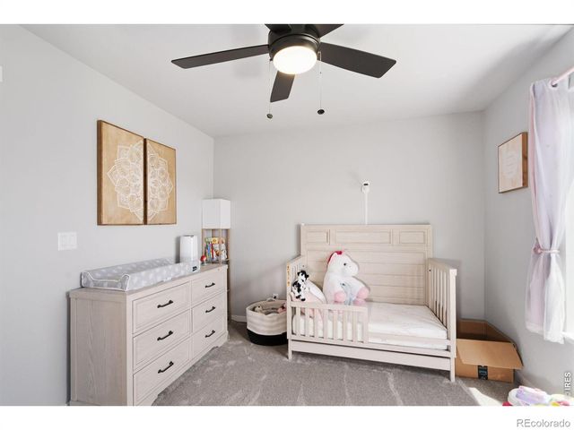 6902 Cattails Drive, Wellington, CO 80549