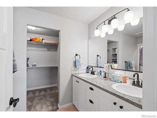 6902 Cattails Drive, Wellington, CO 80549