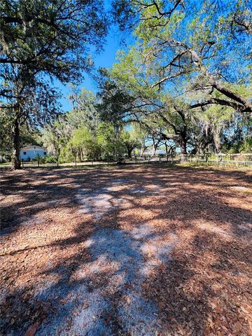 4420 BAILEY ROAD, Mulberry, FL 33860
