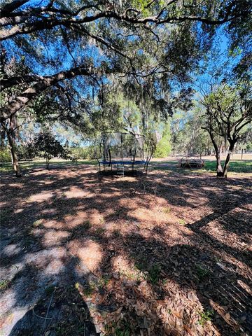 4420 BAILEY ROAD, Mulberry, FL 33860