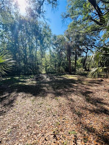 4420 BAILEY ROAD, Mulberry, FL 33860