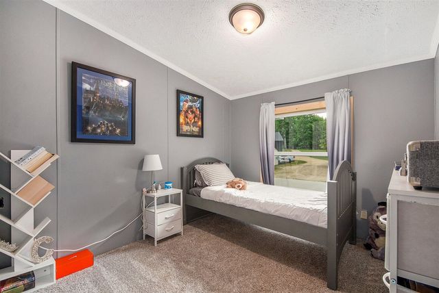 8861 S Big Buck Lane, Newaygo, MI 49337