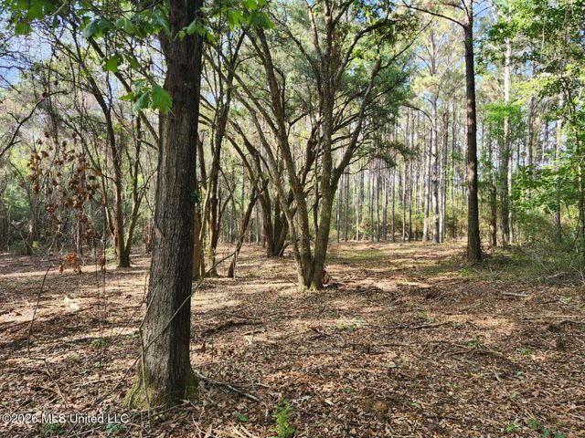 Parcel 1 Shiyou Road, Pass Christian, MS 39571
