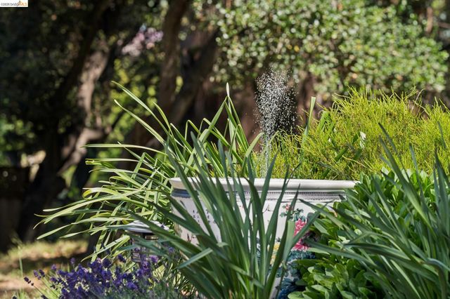 73 Kingston Rd, Kensington, CA 94707