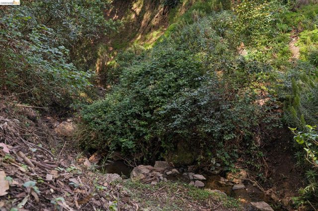 73 Kingston Rd, Kensington, CA 94707