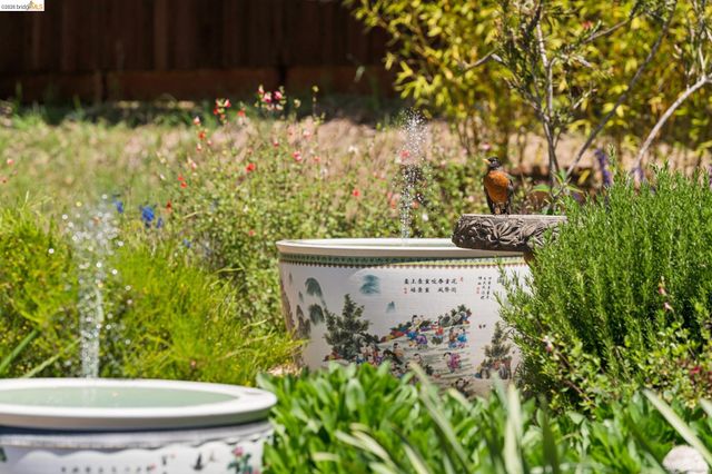 73 Kingston Rd, Kensington, CA 94707