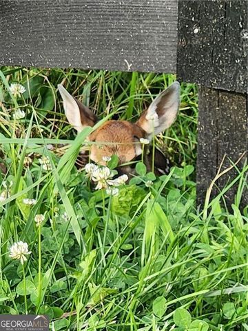 200 Mcclure Drive, Cumming, GA 30028