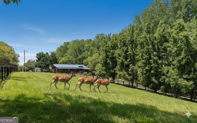 200 Mcclure Drive, Cumming, GA 30028