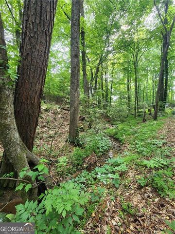 200 Mcclure Drive, Cumming, GA 30028